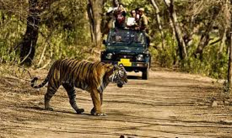 The Litchi Orchard - Jim Corbett